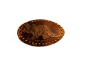Dinosaur Triceratop